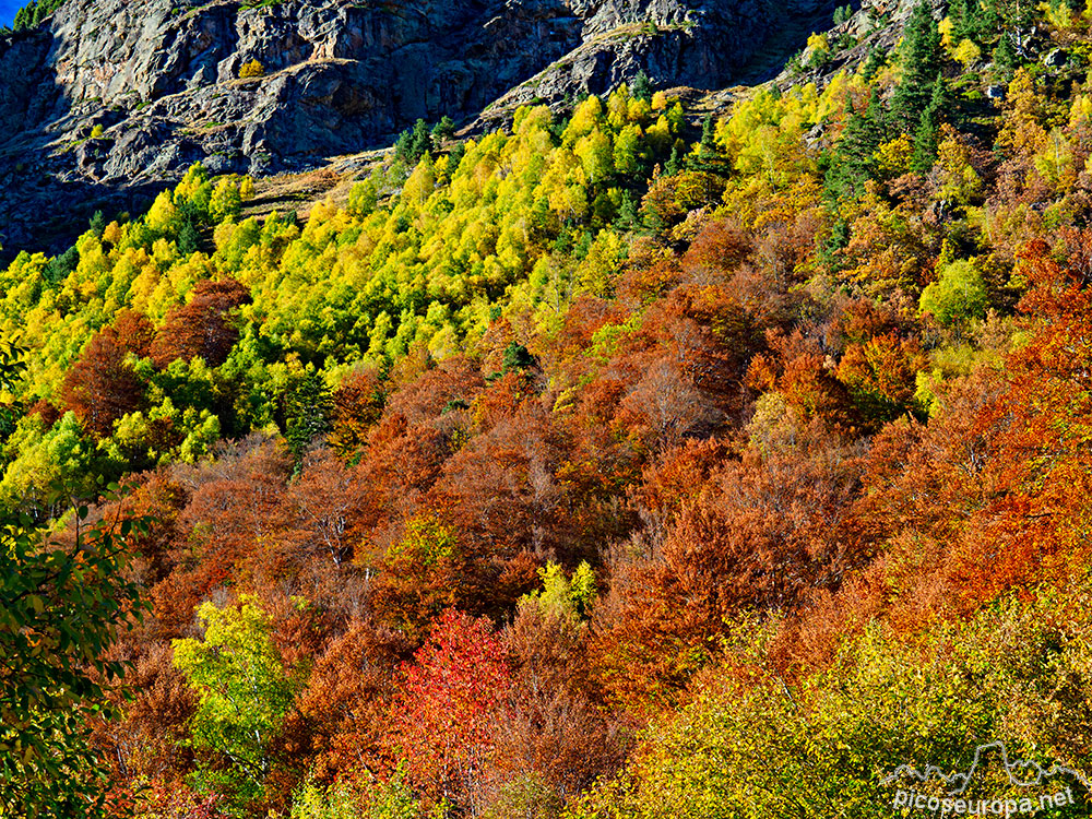 Otoío en la Vall d'Aran, fotografía tomada en la carretera que sube por el valle de Varrados desde el pueblo de Arrós. Pirineos, Catalunya.